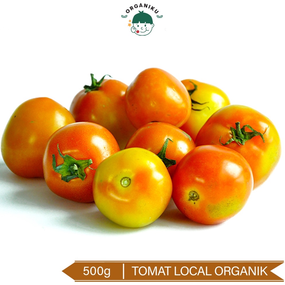 

Laris Tomat Buah Lokal Organik 5g Organic Local Tomato 5g 63