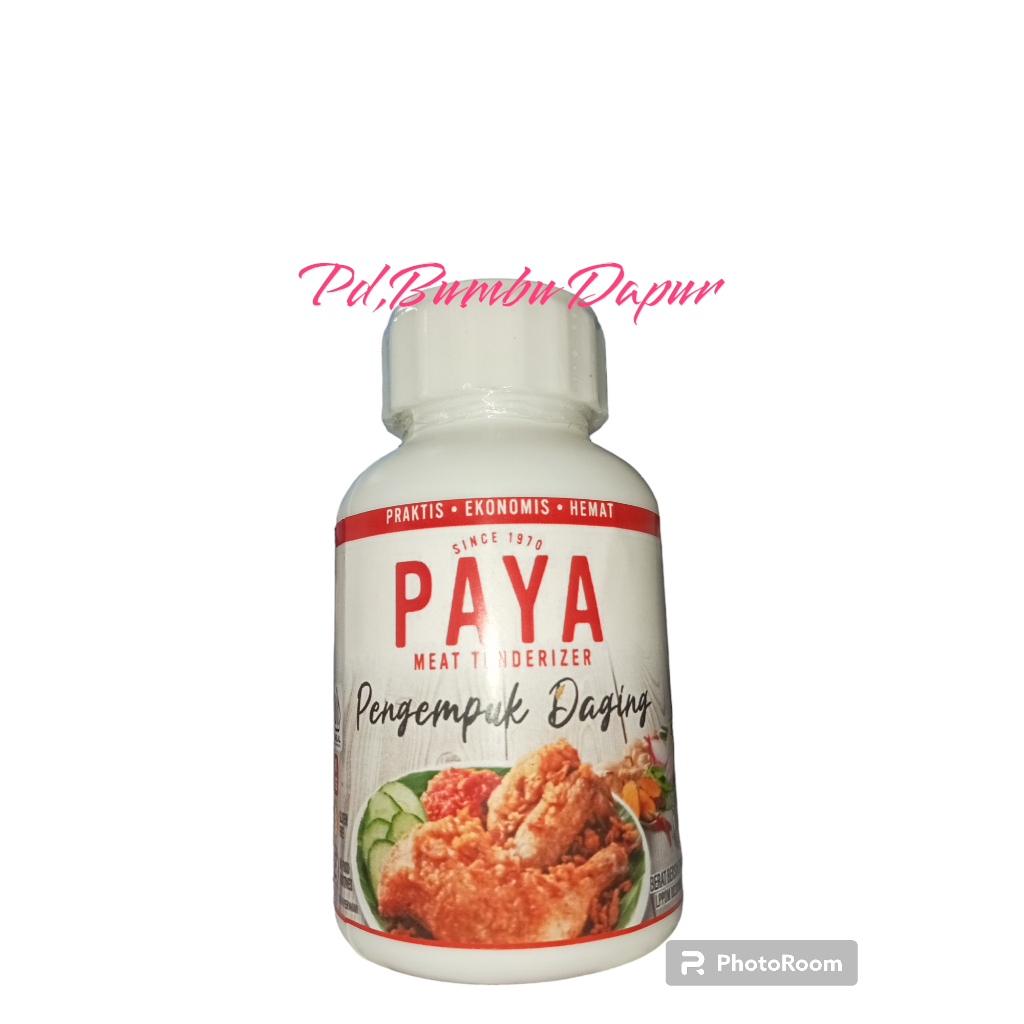 

PAYA MEAT TENDERIZER PENGEMPUK DAGING