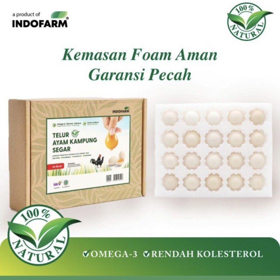 

Telur Ayam KAMPUNG Organic Omega-3 Free Range Eggs INDOFARM 1 box 20 butir (TAMBAHKAN WRAP UNTUK KEAMANAN PENGIRIMAN)