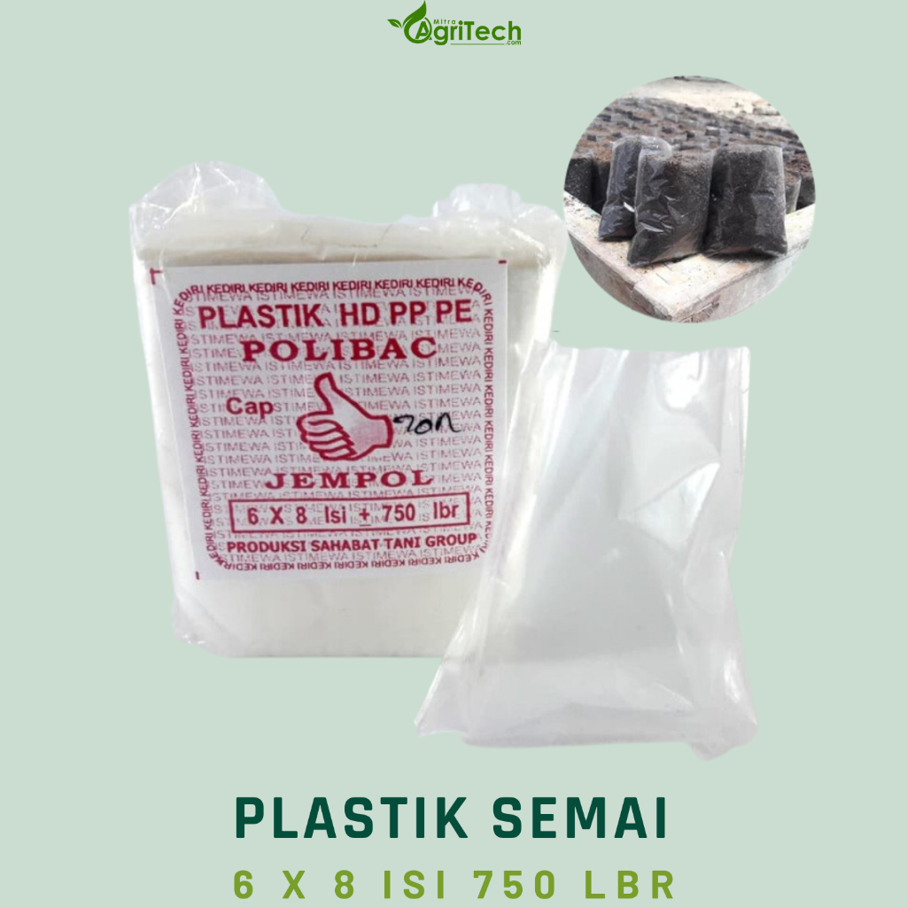 PLASTIK SEMAI CABE POLIBAG POLIBAG SEMAI BENIH PEMBIBITAN 6X8