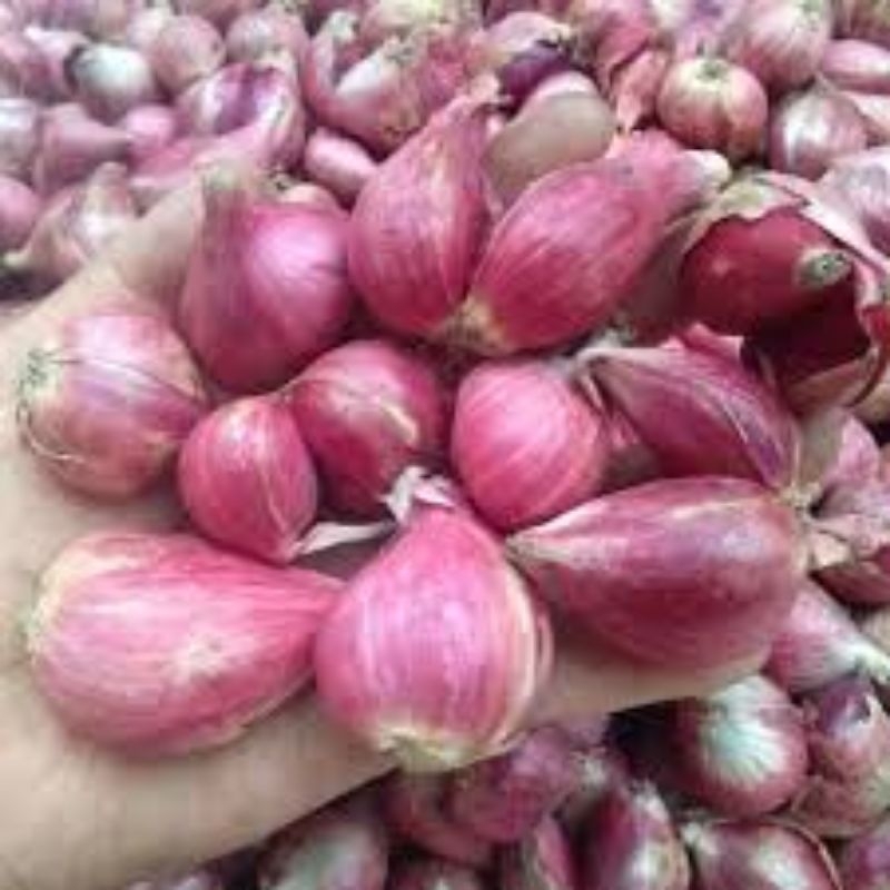 

Bawang merah 250g