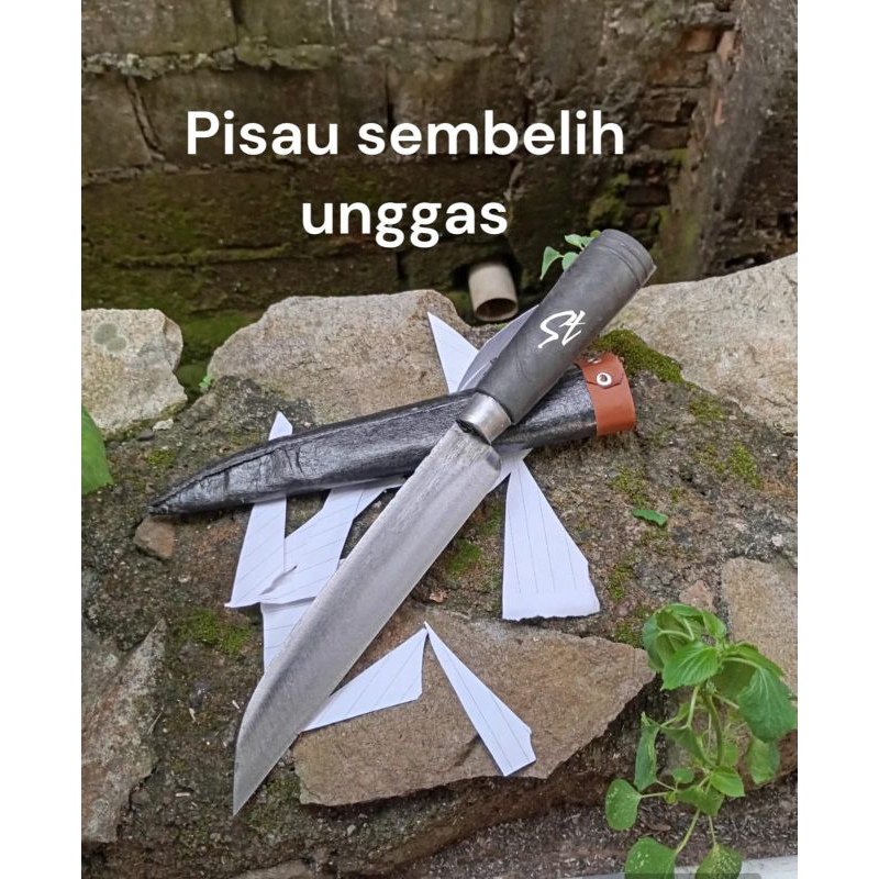 Pisau sembelih unggas bahan baja berkualitas,pisau baja super tajam