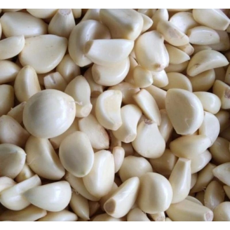 

BAWANG PUTIH KUPAS (BUKAN KATING) 500gr