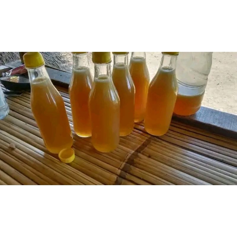 

madu kemasan 250ml madu hutan original