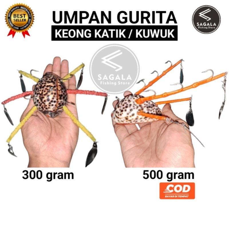 Umpan gurita keong katik / kuwuk termurah