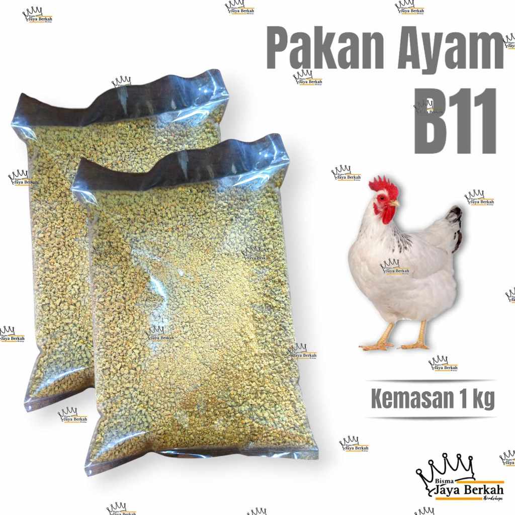 VOER AYAM B11 PAKAN AYAM kemasan 1 kg