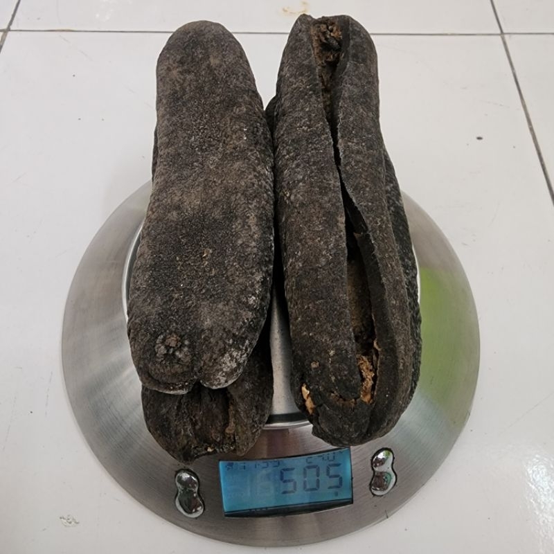 

Murah Ecer! 500gr Haisom Raja Teripang Kering Size8