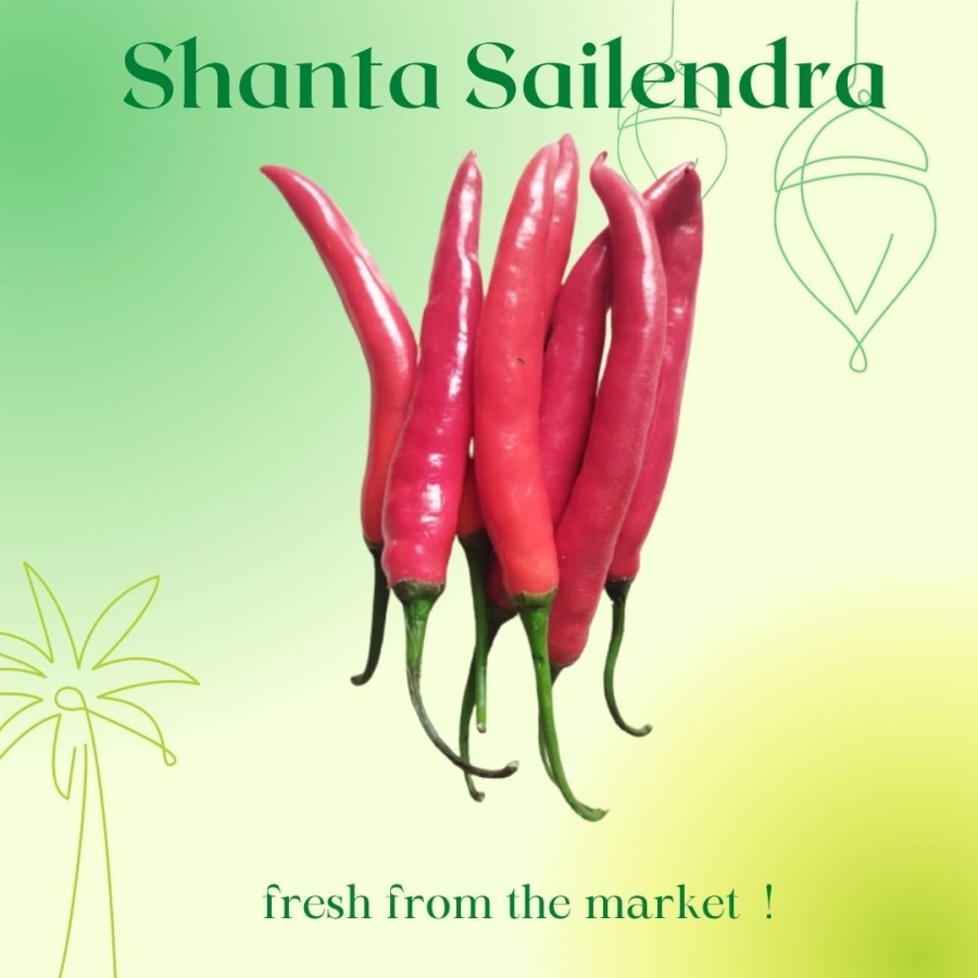 

CABE BESAR CABAI BESAR 100 GRAM