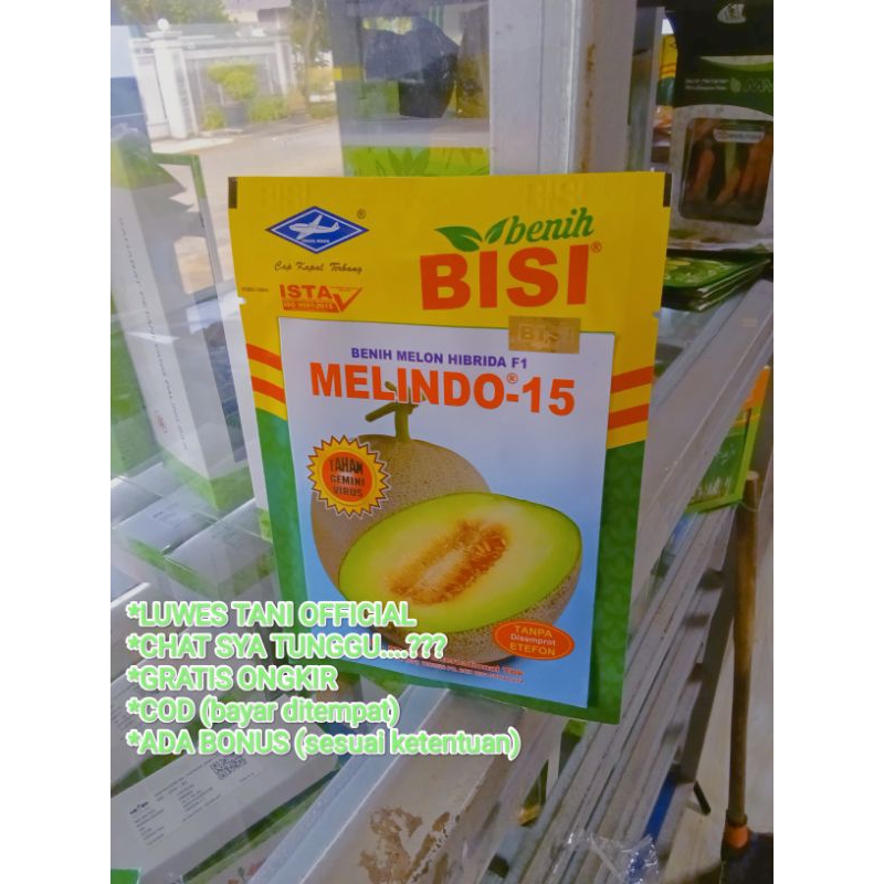 Benih Bibit Melon Madu Melindo 15 F1 (Cap Benih Bisi Kapal Terbang) isi 550 butir Kadaluarsa. 2026 T