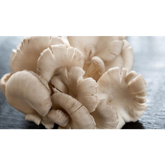 

Jamur tiram berat 100 Gram
