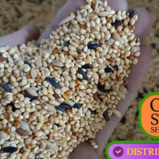 Pakan Burung Perkutut Kiloan 500 Gram