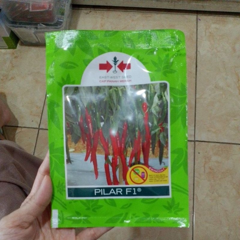 Benih cabe besar Pilar f1 (1500 butir)