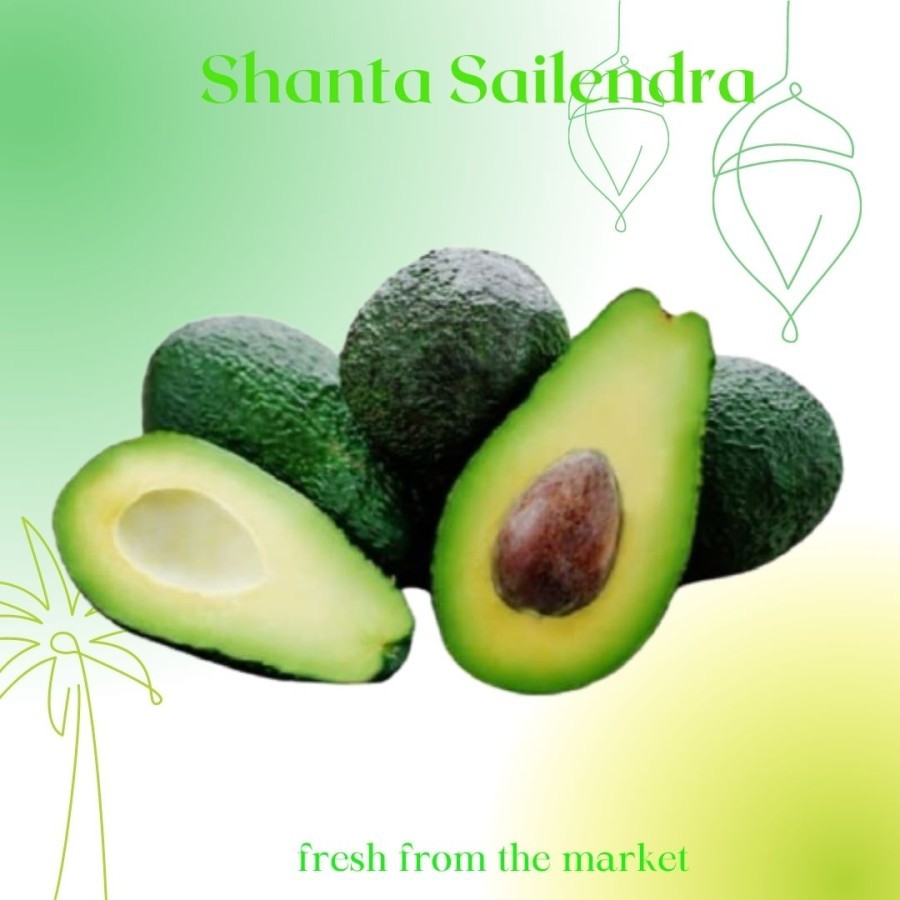 

ALPUKAT APOKAT AVOCADO 1 KG