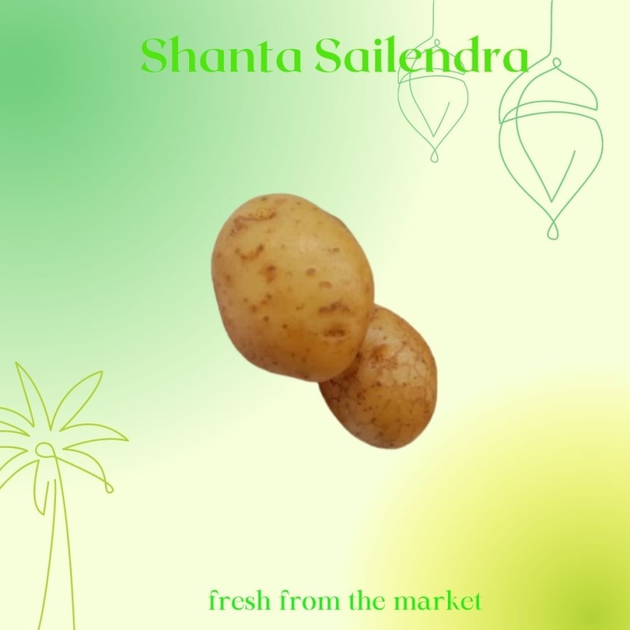 

KENTANG FRESH POTATO 500 GRAM