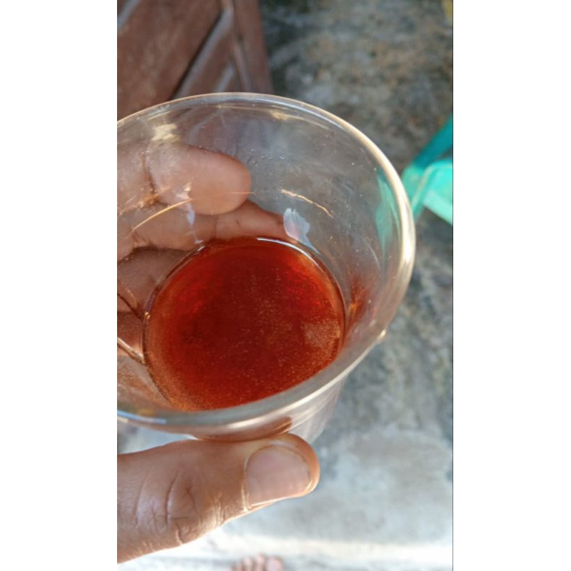 

madu apis melofera nektar multi flora