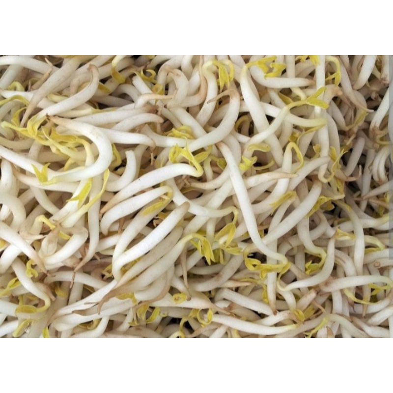 

toge segar/toge sayur_100gr