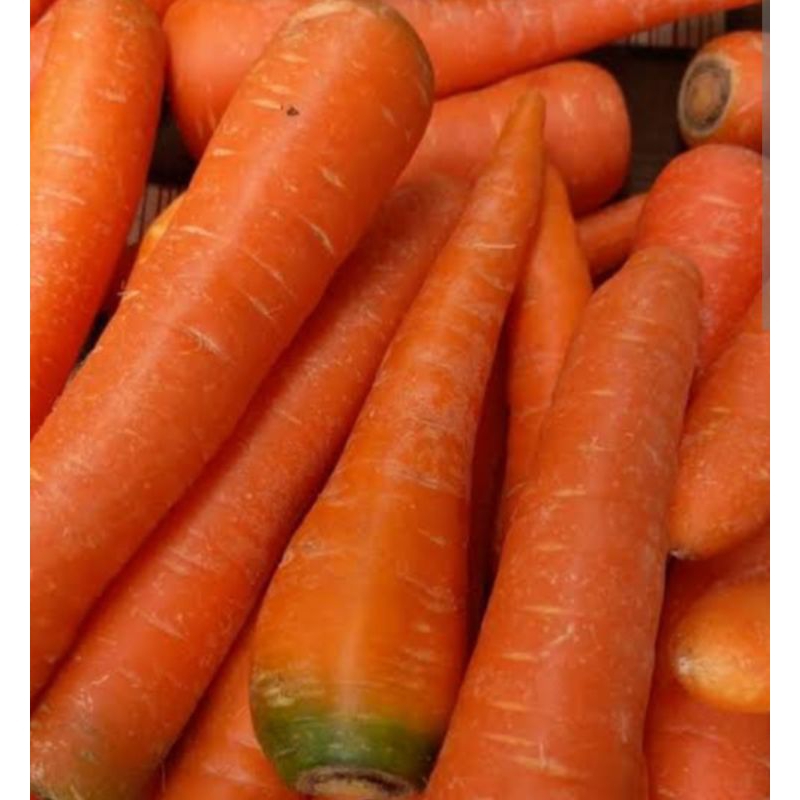 

wortel segar_500gr