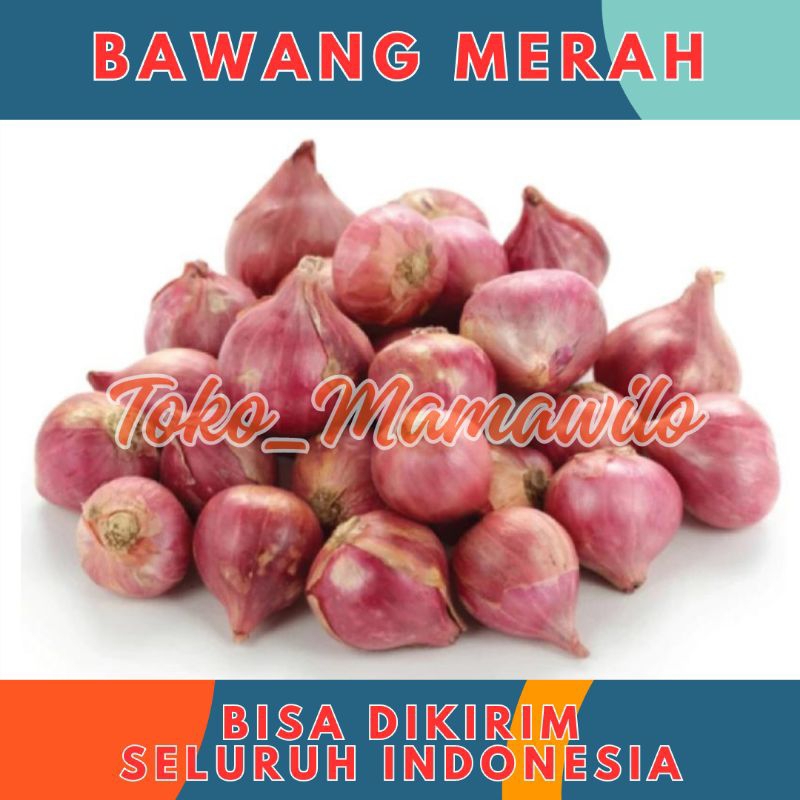 

Bawang Merah Brambang Murah Kiloan 500gr 500 gr gram - Aneka Bumbu Dapur Sayur Sayuran