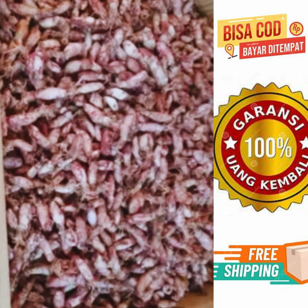 

( 500 Gram ) Baby Cumi Asin Kering / Baby Cumi / Baby Cumi Asin / Baby Cumi Asin Kering / Baby Cumi Kering / Baby Cumi 500 Gram / Baby Cumi 500 Gr / Cumi Cumi / Cumi Cumi Asin / Seafood / Baby Cumi Asin Kering Premium