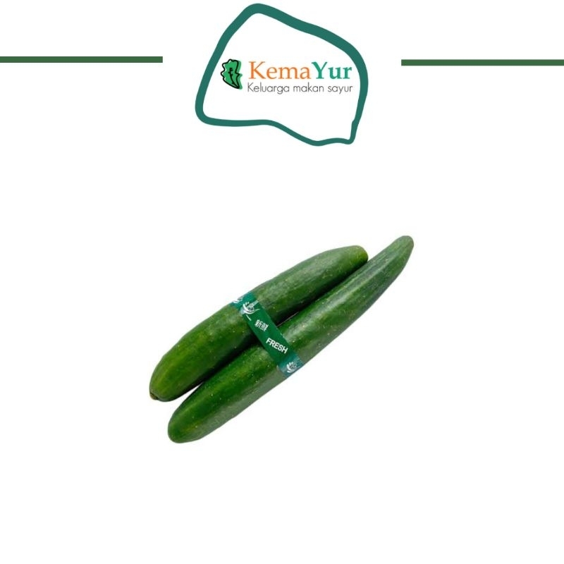 

TIMUN KYURI 500 GR