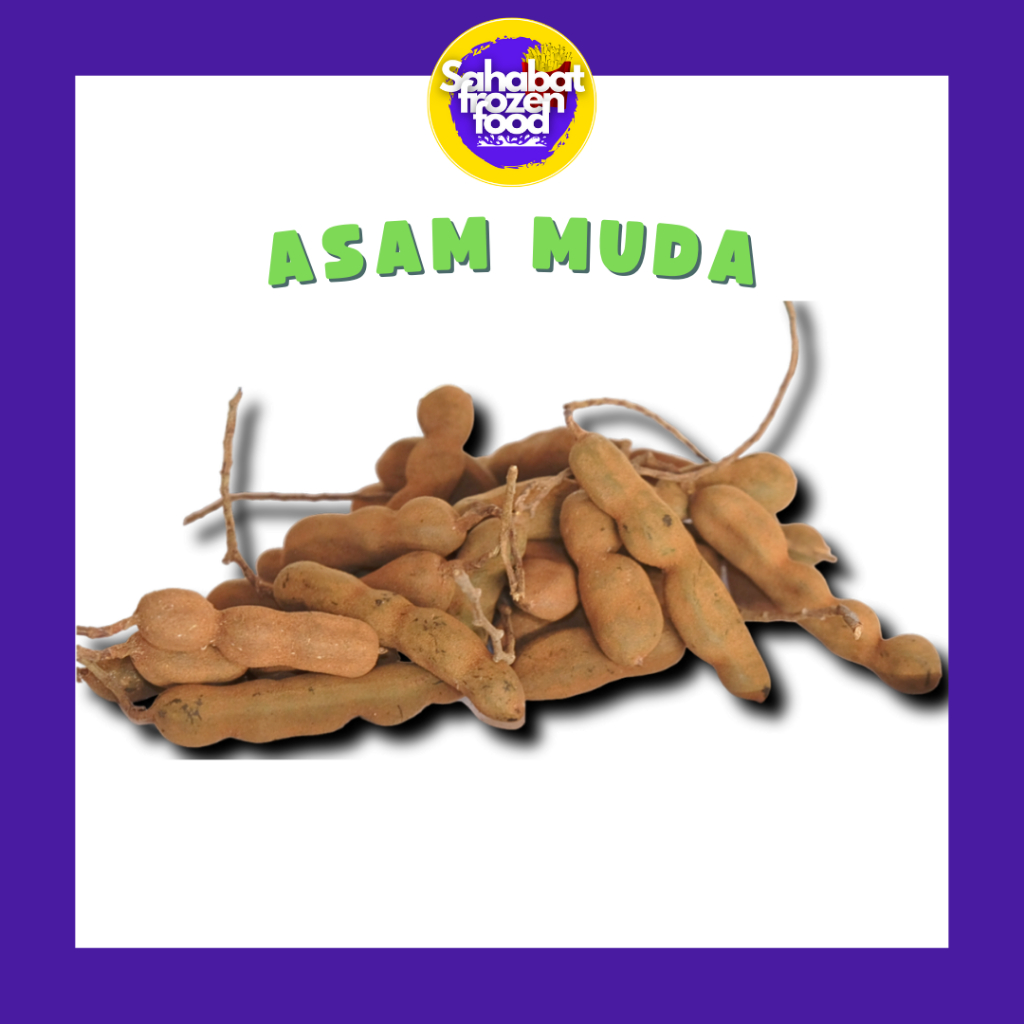 

Asam Muda / Asam Jawa Muda Segar