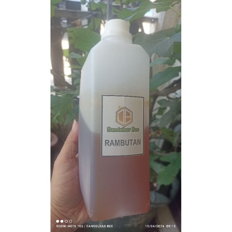 

Madu Murni Nektar Rambutan