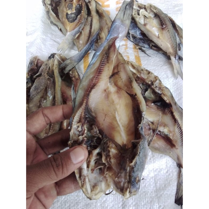 

Ikan Asin Utik 1 kg