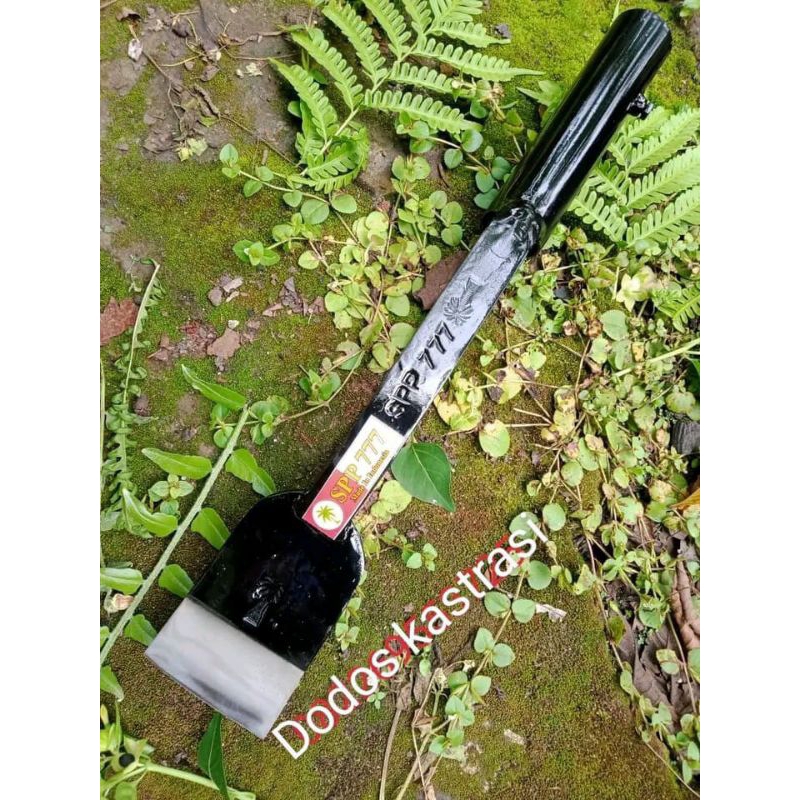 Dodos kastrasi,Dodos sawit sawit