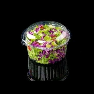 

SaladSayurWithDressingSauce