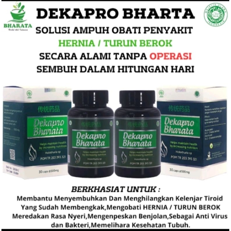 DEKAPRO BHARATA obat hernia paling ampuh herbal