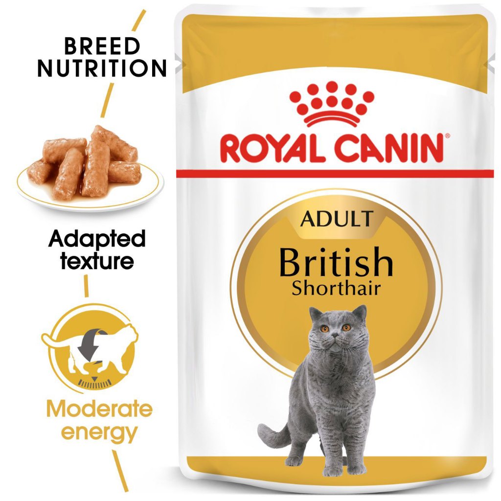 ROYAL CANIN® British Shorthair Adult 85g Wet Makanan Kucing Dewasa - Feline Breed Nutrition