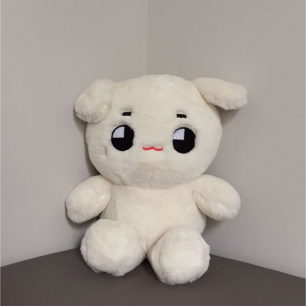 [BOOKED] Big Tyongya Doll 40cm (Taeyong Doll)