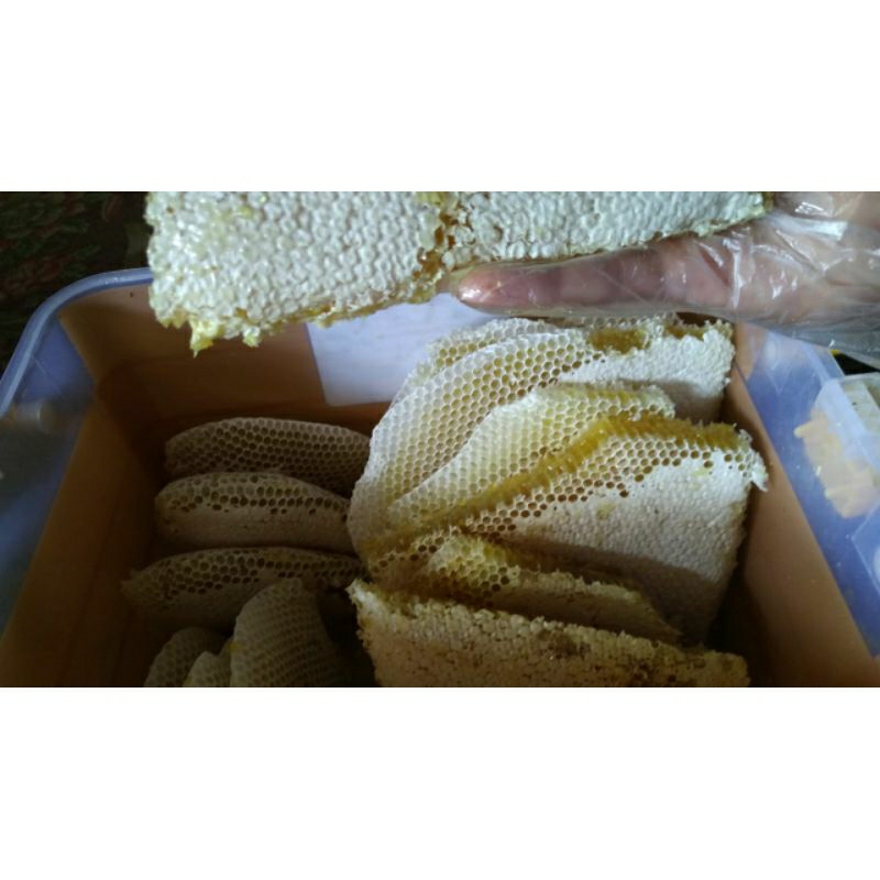 

MADU PEPEG/MADU SARANG ASLI 1000%