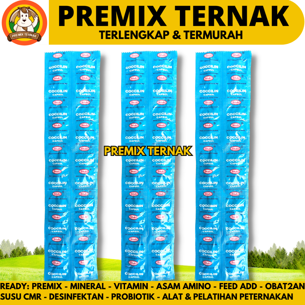COCCILIN CAPSUL ISI 10 KAPSUL WONDER - Obat Ayam Ngorok Crd Pilek Snot ayam