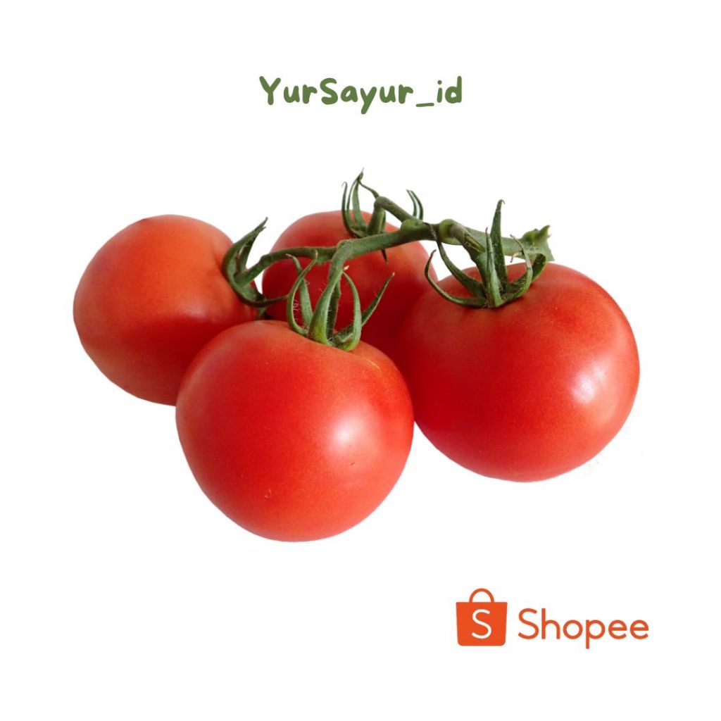 

tomat segar 250gram