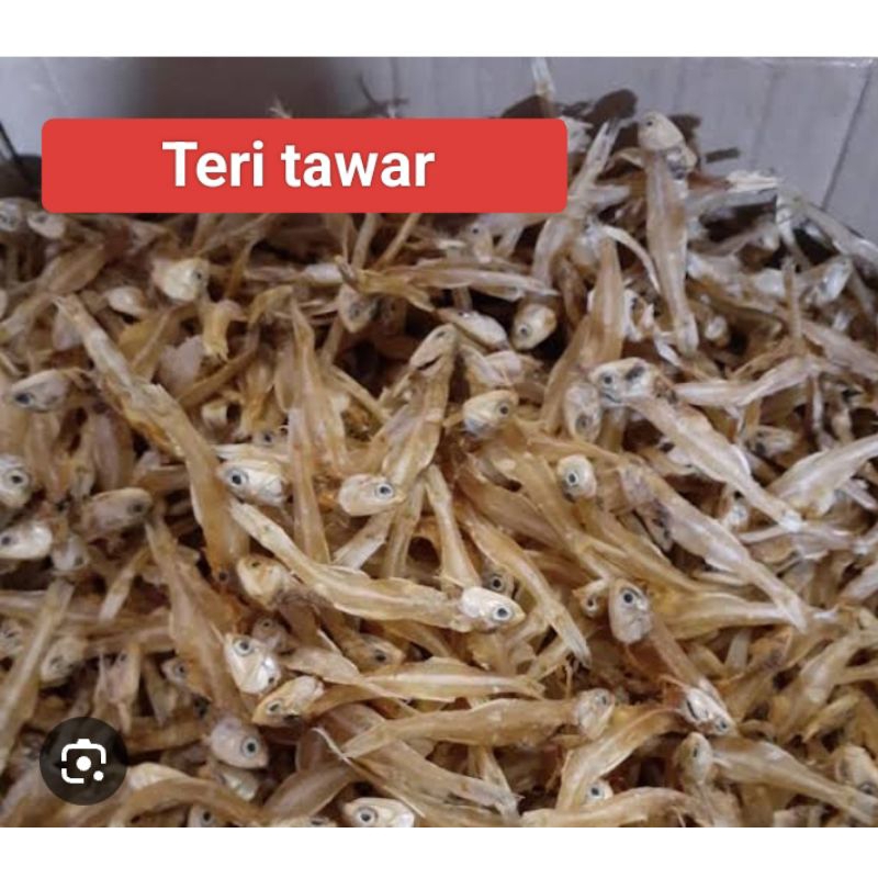 

ikan teri tawar kecil