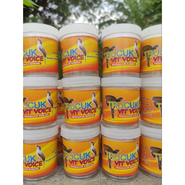 vitamin penggacor burung trucuk vit voice