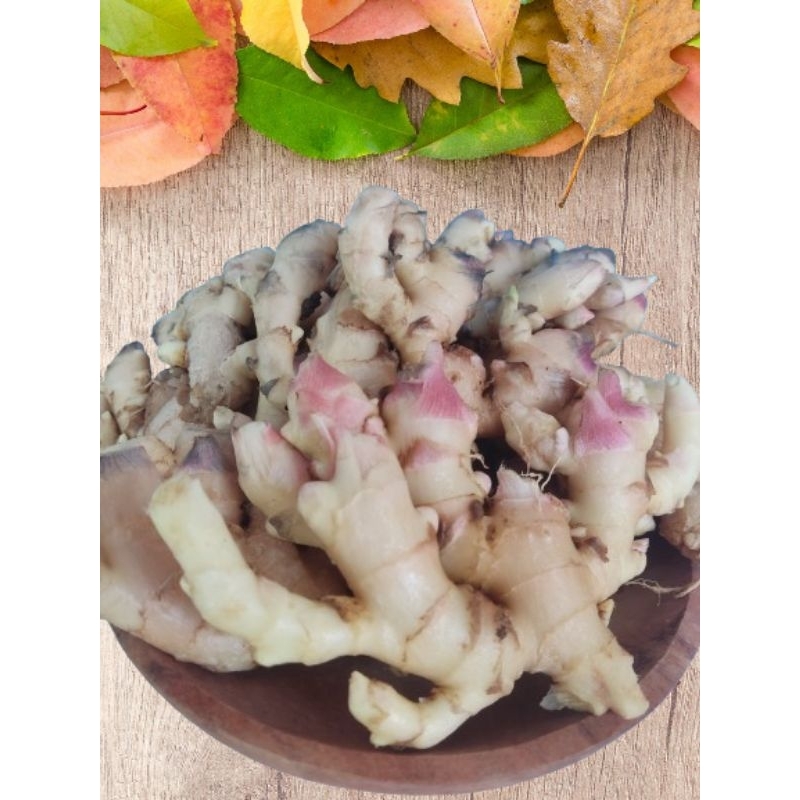

jahe mprit/jahe paris muda 1kg