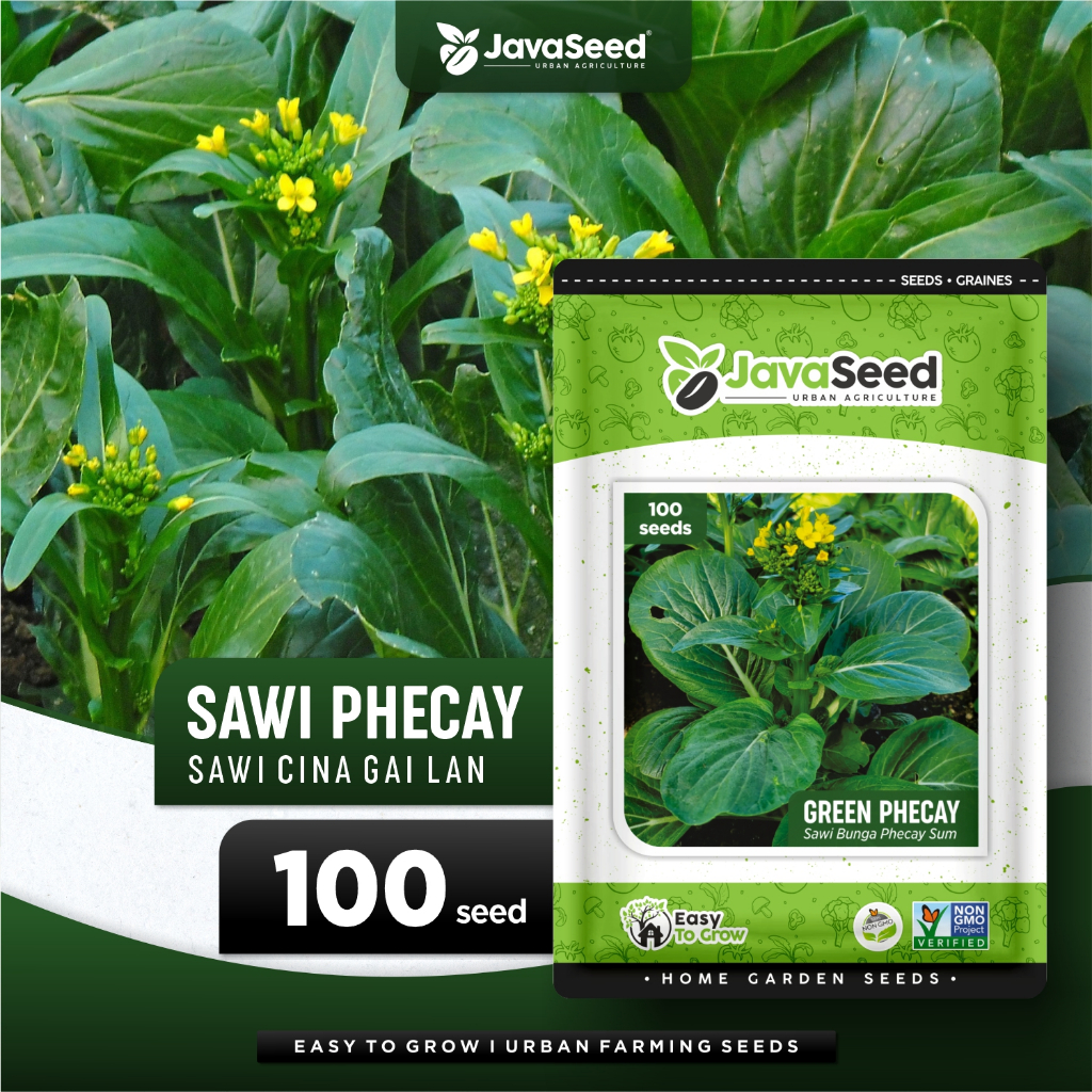 JAVASEED - Benih Sawi Bunga Cai Xin Green Choy Sum 100 Benih