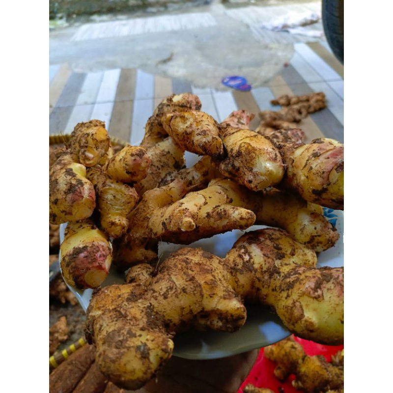 

Jahe 500 gr