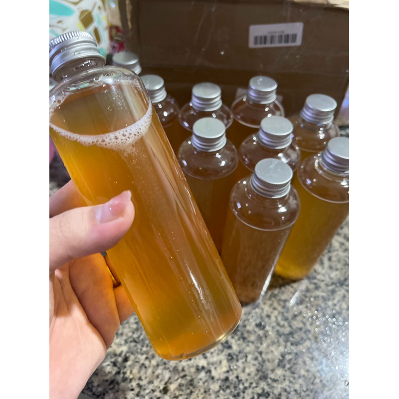 

kombucha original