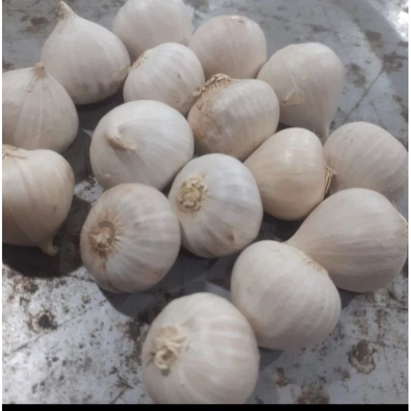 

bawang putih tunggall besar1kg