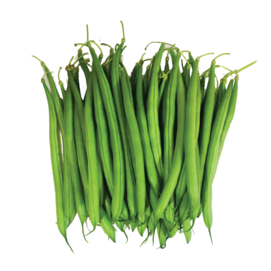 

FRESH PREMIUM FINE BEAN( BABY BUNCIS) 1 DUS/KOTAK ISI 18 PCS SAYUR SEGAR