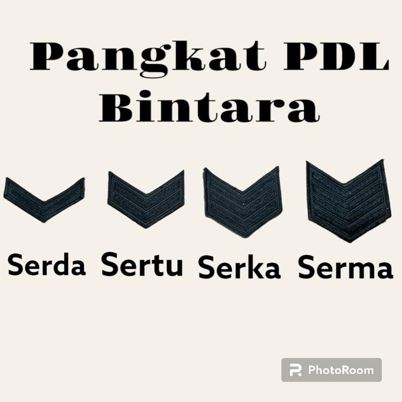 Pangkat PDL dan PDL SBP Bintara TNI AU