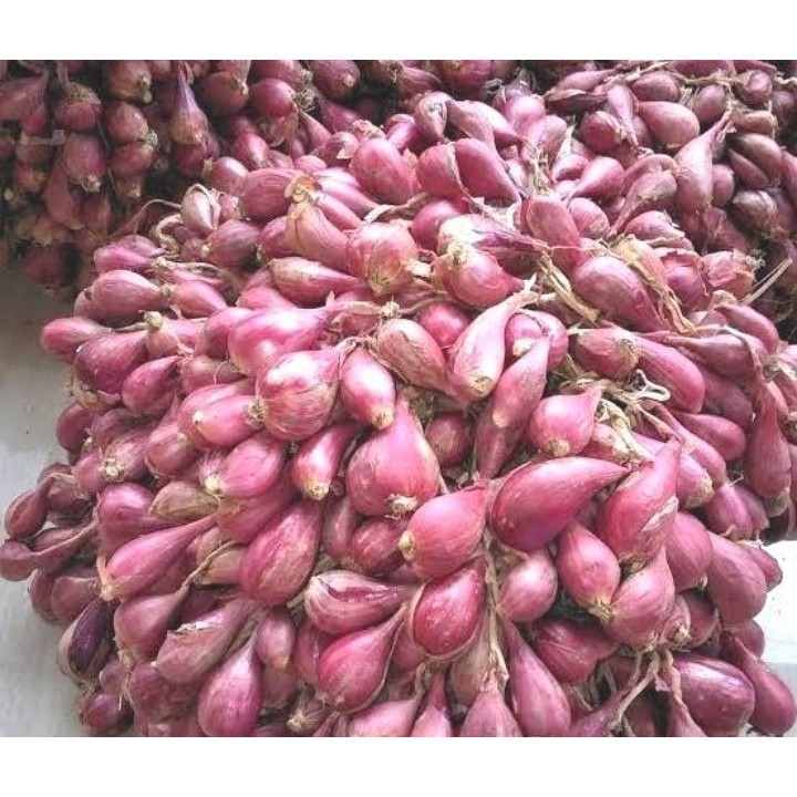 

bawang merah berebes sedang 500 gram