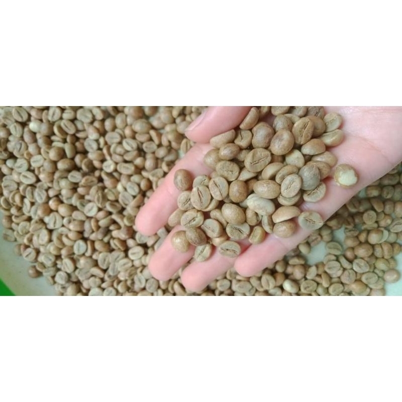 

Greenbean Robusta Temanggung Grade A