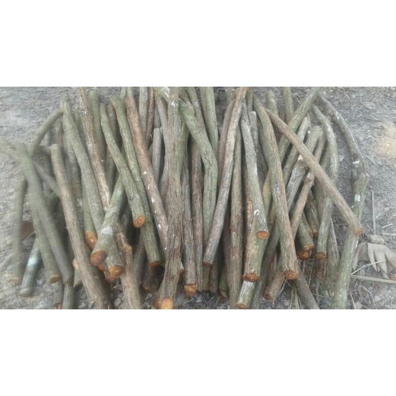 

1kg akar bajakah 100%asli