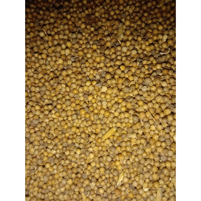 

Ketumbar original