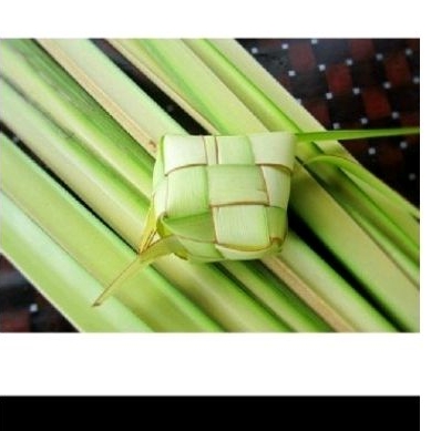

CANGKAG KTUPAT KULIT KTUPAT 10 PCS