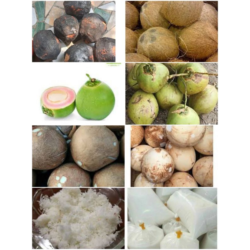 

kelapa parut,kelapa muda, kelapa bakar,santan kelapa